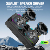 Altavoz Portátil Dual de 12 Pulgadas con Bluetooth, 120W, Luz RGB con Efecto de Llama, Altavoz Karaoke TWS con 2 Micrófonos Inalámbricos, Control Remoto y Ruedas