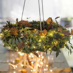 Twinkle Fairy Lights 10 Strands 200 <span class=keywords><strong>Led</strong></span> Không Thấm Nước Timbo Chuỗi Lights Trang Trí Dây Bạc <span class=keywords><strong>Vine</strong></span> Cho Ngoài Trời Vườn Xmas Tree - Product Image 3