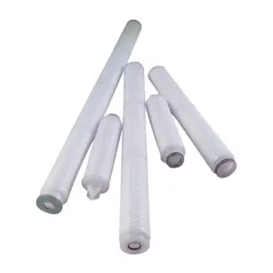 Microporous Filter 0.45 Micron PES Membrane Filter For Sterile Filtration In Food And Beverage Industry