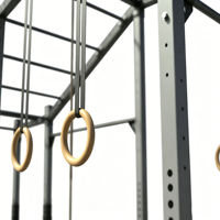 Structure d'entraînement multifonctionnelle autoportante en acier inoxydable pour extérieur, pour barres de traction, entraînement de force, musculation et salle de sport