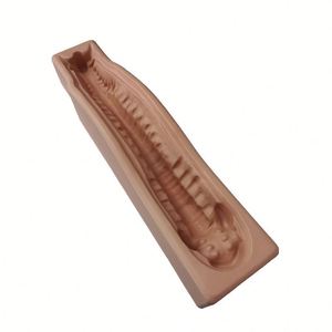 KyrenMed-Soporte Cervical <span class=keywords><strong>Posterior</strong></span> para Columna Vertebral, Base de Modelo de Hueso de <span class=keywords><strong>Esqueleto</strong></span> Humano, con Diseño de Base, de Modelo de <span class=keywords><strong>Esqueleto</strong></span> Humano, con Diseño A LA Moda, para el Hogar, con Diseño de Cuello, a la Moda - Product Image 1