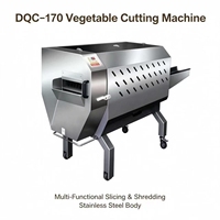 Industriële groentesnijmachine DQC-170 SUS304 Automatische kool- en selderijsnijder voor voedselverwerkingslijn