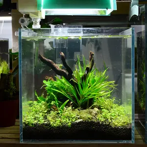 2024 새로운 LED 디자인 해파리 사육 간단한 가정 장식 다채로운 조명과 해파리 탱크