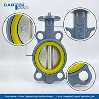 Vanne papillon en polyuréthane de type Wafer avec siège concentrique en PU résistant à l'usure, en WCB / fonte ductile, zéro fuite, pour boues et pulpe minérale