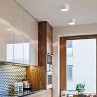 Plafonnier LED en aluminium moderne et minimaliste, style nordique, noir/blanc, pour dressing et couloir (vente en gros)