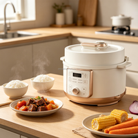Cuisinière à pression électrique populaire 4L 5L 6L, décompression automatique, multifonction, pour les repas quotidiens en famille