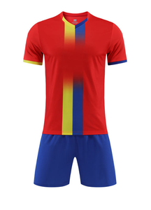 Camisetas de Fútbol Cómodas y de Secado Rápido de la <span class=keywords><strong>Liga</strong></span> Brasileña de Fútbol 2526, Ropa Deportiva y Camisetas al por Mayor - Product Image 3
