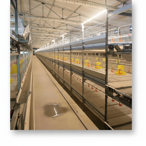 Maille d'isolation pour animaux de compagnie de plateau à fumier compostable adaptée aux Cages à poulets de chair écologiques de levage circulaire de ferme familiale - Product Image 1