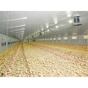 Casa de aves domésticas estrutura de aço design moderno fazenda de galinhas