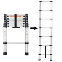 Escalier télescopique en aluminium compact pliable EN131 2,6 m