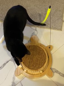 Petest-Alfombrilla de Sisal Natural para Rascador de Gato, Alfombrilla de Bambú con Bolas de Hierba Gatera, Juguete Interactivo, Diseño de Peces, Diseño Moderno - Product Image 5