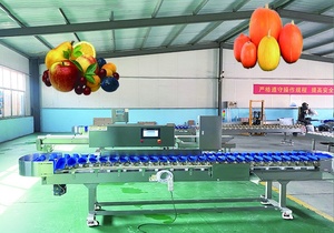 Máquina Clasificadora Óptica Automática Avanzada de Acero Inoxidable 304 para Mango, Pepino, Trufa, Champiñón y Ostra - Product Image 2