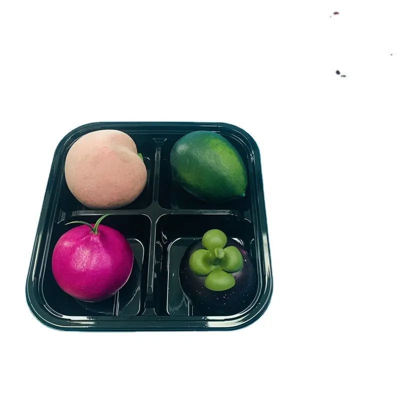 Disposable Food Storage Containers Square Appetizer Serving Trays With Lids Veggie Fruit Trays