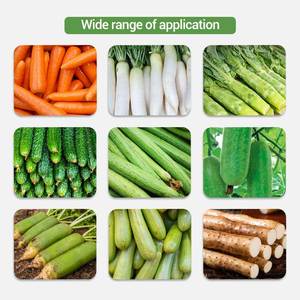 Carotte Bardane Daikon Éplucheur Navet Grattage Radis Peau Enlever Machine S - Product Image 6