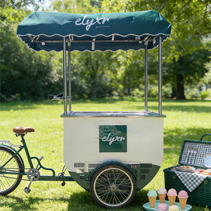 Carritos de Gelato Italianos con Ruedas, Carrito de Venta Ambulante de Helados Personalizado con Congelador - Product Image 4