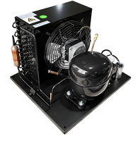 Unité de condensation 2HP/3HP/5HP pour chambre froide, compresseur Copeland, moteur, réfrigération neuve conditionnée pour restaurant