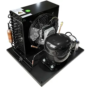 Factory 2HP/ 3HP/ 5HP Condensing Unit For Cold Room Storage Condensing Unit Refrigeration