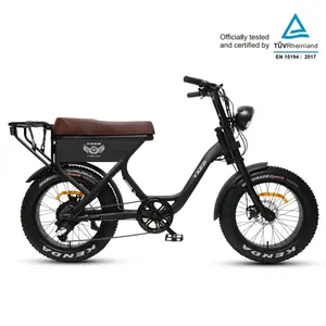 महिलाओं के लिए 250W ईयू वेयरहाउस एल्यूमीनियम फैट टायर इलेक्ट्रिक एंड्यूरो बाइक रियर कैरियर फैटबाइक इलेक्ट्रिक मोटर माउंटेन ई मोटरबाइक के साथ