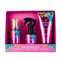 Ensemble cadeau de vacances 3 pièces brume pour le corps lotion pour le corps brume pour les cheveux pour gilr/femmes/dame emballage de cadeau de Noël