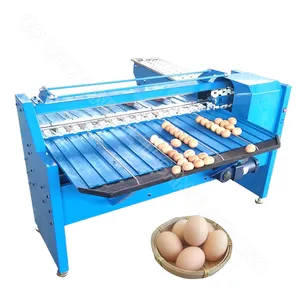 Machine egg grading egg sorting machine for sale suppliers egg grader machine automatic