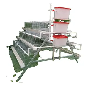 SHUXIN new products chicken egg poultry farm chicken laying cages