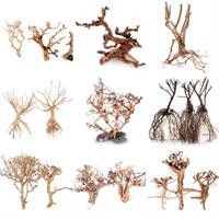 Chine Fabricant Bois Droit Aquarium Driftwood Bali