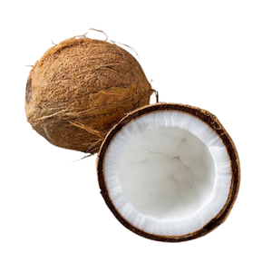 Proveedor de agricultura Los más vendidos 2023 Coco seco de coco natural 12 13 cm Fabricación de envases personalizados de Vietnam - Product Image 2