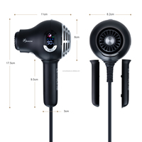 B2B Exklusiv 1600W Hochgeschwindigkeits-Haartrockner Professionelles Salon 5-in-1 Styling-Set OEM/ODM Private Label MOQ 500 Kundenspezifische Marke
