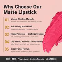 Vente en gros de rouge à lèvres vegan imperméable mat, longue tenue, haute pigmentation, rouge à lèvres velours solide, logo personnalisé, petite commande