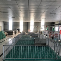 Lit de mise bas pour truies, état neuf, pour élevage porcin, avec clôture et cage, et plateau de mise bas