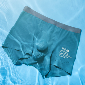 Caleçons pour hommes sensation naturelle, sous-vêtements respirants en nylon avec poche 3D en U, fins pour l'été, boxers sans couture pour hommes - Product Image 5