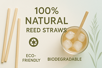 Pailles en roseau naturelles de 20 cm pour smoothies, jus, cocktails - Écologiques, biodégradables, réutilisables, pour les voyages