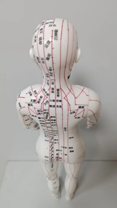 Enseignement médical acupoint <span class=keywords><strong>Acupuncture</strong></span> Femelle Humain Femmes Modèle Image PVC Matériel Maniking enseignement outil d'<span class=keywords><strong>acupuncture</strong></span> - Product Image 2