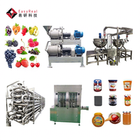 Multifunctionele Serie Berry Making Machine Bosbes Aardbei Moerbei Cherry Jam Productie Verwerking Lijn