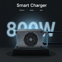 Chargeur portable LNLEE 60V 10A pour mini-camionnettes électriques et véhicules électriques à basse vitesse, compatible batteries LiFePO4, pour la gestion des vignobles