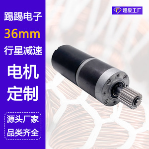 Manufacturer produces high-torque, built-in 12V brushless geared motors for lawnmower drive motors. - Product Image 4
