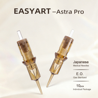 Aiguilles de tatouage jetables en acier inoxydable nano pour sourcils, 10 cartouches colorées, maquillage permanent, sûres, stérilisées au gaz EO, pour l'art corporel