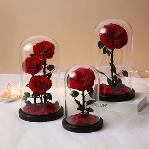 Rosa Eterna Roja al por Mayor, 1 o 3 Piezas, Rosa Seca Preservada de Lujo en Cúpula de Cristal - Product Image 5