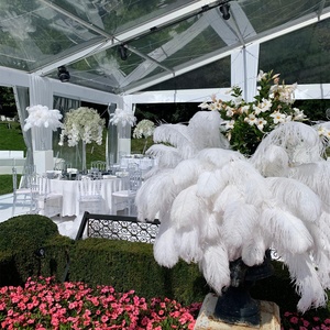Plumas de Avestruz Naturales Blancas Grandes de 75-80cm, Plumas de Avestruz al por Mayor para Centros de Mesa de Bodas y Carnavales - Product Image 6