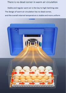 Beyou đầy đủ tự động năng lượng mặt trời Powered lồng ấp trứng <span class=keywords><strong>brooder</strong></span> năng lượng mặt trời trứng nở giá máy - Product Image 5