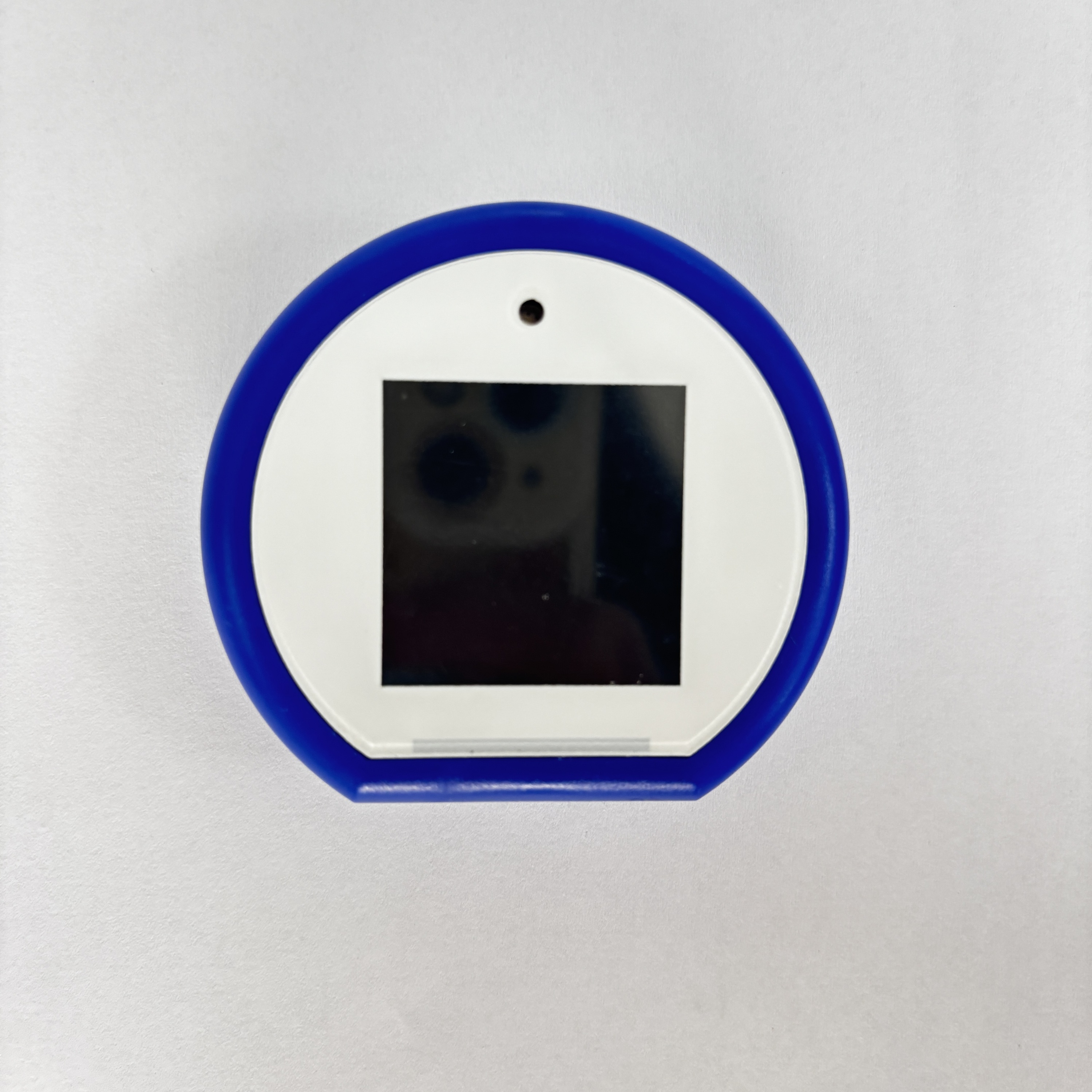 Bleu