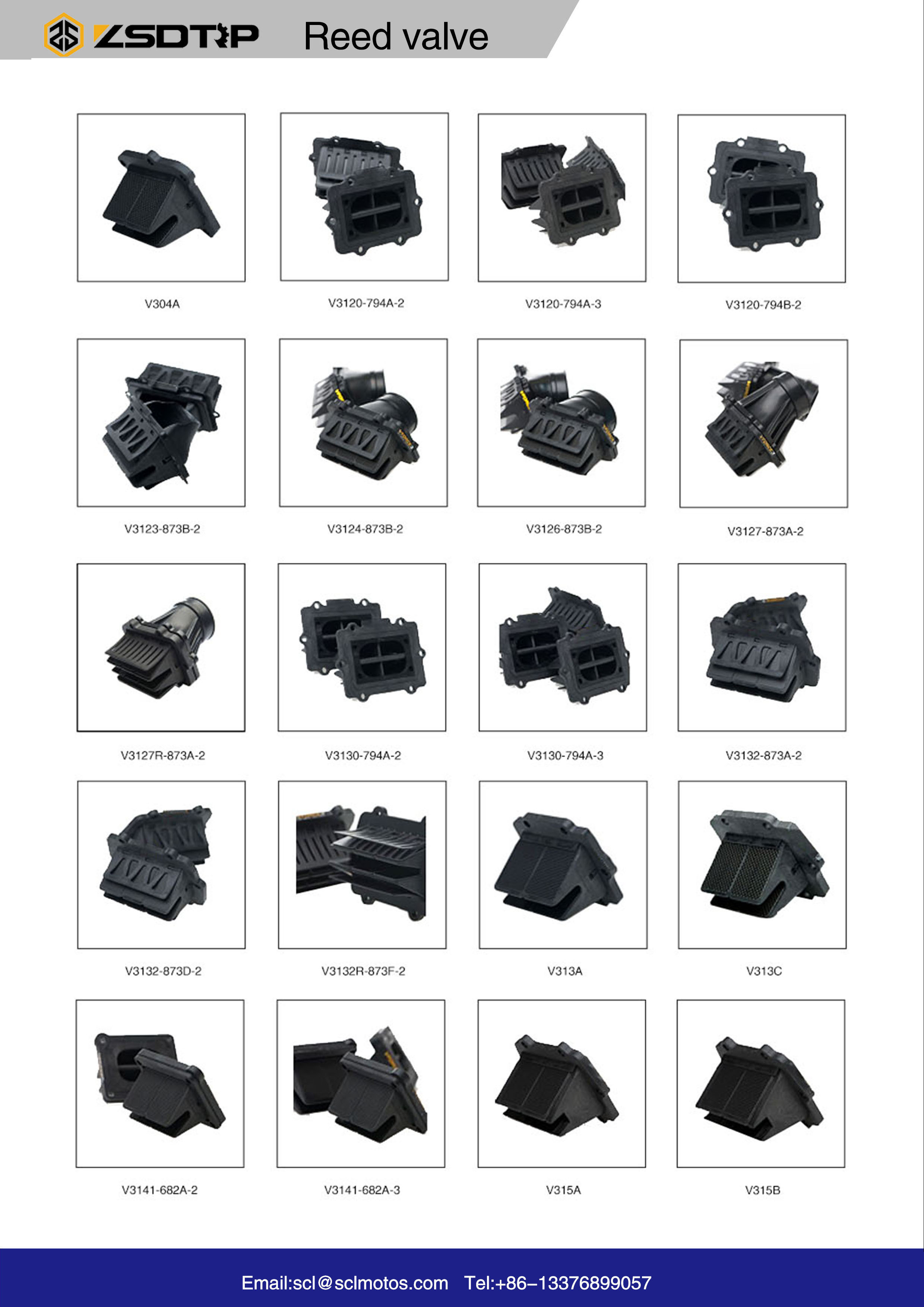 ZSDTRP 2 Stroke Reed Valve System for KDX200 & KRZ150