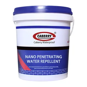 Wholesale CABERRY nano waterproofing transparent waterproof coating paint