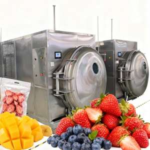 Lyophilisateur industriel 100-200 kg Grande capacité Lyophilisateur commercial pour la transformation des aliments - Product Image 2