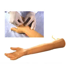 Modèle de bras IV pour la formation et l'enseignement en sciences médicales, modèle de bras pour la formation à la ponction veineuse pour les personnes âgées - Product Image 3