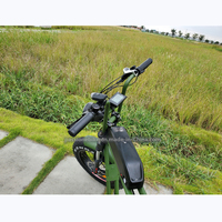 Vélo électrique à pneus larges en aluminium avec batterie lithium-ion haute capacité 48V15AH, 20 pouces, 7 vitesses, double moteur brushless Bafang G602