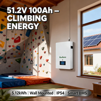 Baterai Lithium Ion 5kWh 48V 51.2V 100Ah untuk Sistem Surya Hibrida yang Dipasang di Dinding