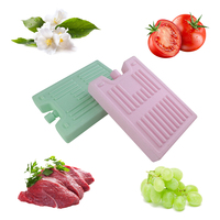 Sac isotherme et boîte à glace en gel réutilisable de qualité alimentaire pour l'expédition de denrées alimentaires, les barbecues et les pique-niques