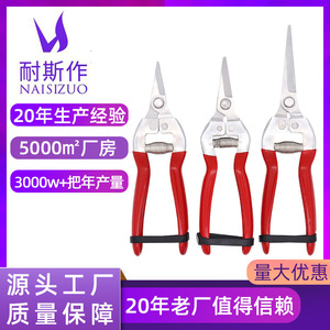 Nice <b>Pruning</b> Shears Stainless Steel Straight Head Garden <b>Tool</b> For Fruit <b>Tree</b> Trimming - Product Image 5