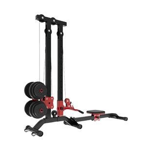 Vogatore per Uso Domestico Multifunzione Pieghevole Professionale Stazione di Allenamento Gantry Power - Product Image 1